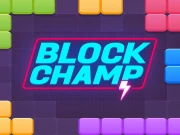 Block Champ Online Puzzle Games on NaptechGames.com