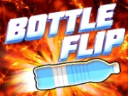Bottle Flip Challenge Online Casual Games on NaptechGames.com