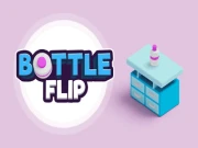 Bottle Flip Online arcade Games on NaptechGames.com