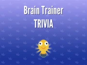 Brain Trainer Trivia Online Puzzle Games on NaptechGames.com