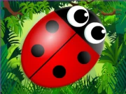 Bug Match Online Puzzle Games on NaptechGames.com