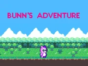 Bunns Adventure Online Arcade Games on NaptechGames.com