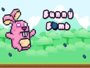 Bunny Bomb Online arcade Games on NaptechGames.com