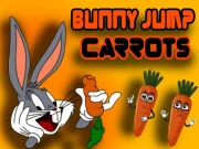 Bunny Jump Carrots Online Arcade Games on NaptechGames.com