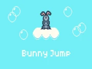 Bunny Jump Plus Online arcade Games on NaptechGames.com