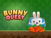Bunny Quest Online Puzzle Games on NaptechGames.com