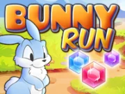 Bunny Run Online HTML5 Games on NaptechGames.com