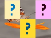 Butterfly Memory Match Online puzzles Games on NaptechGames.com