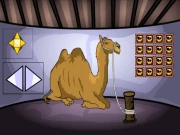Camel Escape Online Puzzle Games on NaptechGames.com