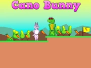 Cano Bunny Online Arcade Games on NaptechGames.com