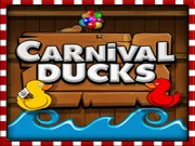 Carnival Ducks Online Shooter Games on NaptechGames.com