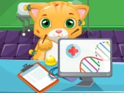Cat Doctor Sim Online Girls Games on NaptechGames.com