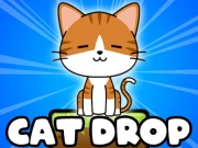 Cat Drop Online Puzzle Games on NaptechGames.com
