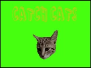 Catch Cats Online arcade Games on NaptechGames.com