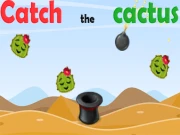 Catch The Cactus Online Puzzle Games on NaptechGames.com