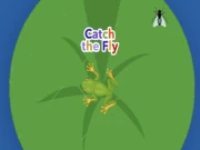 Catch the Fly Online arcade Games on NaptechGames.com