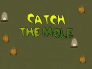 Catch the Mole Online arcade Games on NaptechGames.com