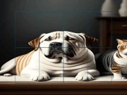 Cats and Dogs Slide Puzzle Online puzzles Games on NaptechGames.com