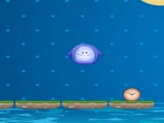 Chaki - Water Hop Online Puzzle Games on NaptechGames.com