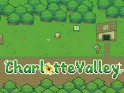 Charlotte Valley Online Puzzle Games on NaptechGames.com