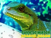 Chinese Water Dragon Jigsaw Online Puzzle Games on NaptechGames.com
