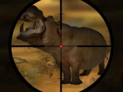 Classical Hippo Hunting Online Shooter Games on NaptechGames.com