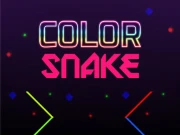 ColorSnake Online Hypercasual Games on NaptechGames.com