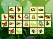 Connect The Insects Online Puzzle Games on NaptechGames.com