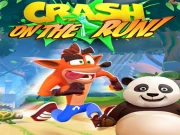 Crash Bandicoot and Little Panda: On the Run! 2 Online Arcade Games on NaptechGames.com