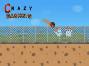 Crazy Baskets Online sports Games on NaptechGames.com