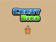 Crazy Bird Online Clicker Games on NaptechGames.com