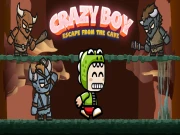 Crazy Boy Escape From The Cave Online Adventure Games on NaptechGames.com