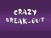 Crazy Break-Out Online Arcade Games on NaptechGames.com