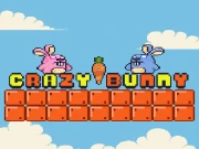 Crazy Bunny Online Adventure Games on NaptechGames.com