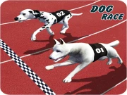 Crazy Dog Racing Fever : Dog Race Game 3D Online Racing & Driving Games on NaptechGames.com