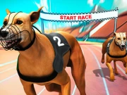 Crazy Dog Racing Fever Online Racing Games on NaptechGames.com
