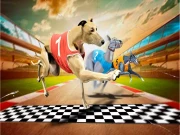 Crazy Dog Racing Game 2020 Online Racing & Driving Games on NaptechGames.com