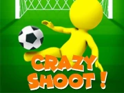Crazy Shoots Online Sports Games on NaptechGames.com