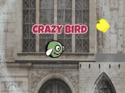 CrazyBird Online arcade Games on NaptechGames.com
