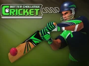 Cricket Batter Challenge Game Online Sports Games on NaptechGames.com
