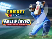 Cricket Live Online sports Games on NaptechGames.com