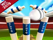 Cricket World Cup Game 2019 Mini Ground Cricke Online Basketball Games on NaptechGames.com