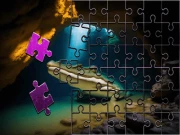 Crocodile Jigsaw Perfect Slide Puzzle Online puzzles Games on NaptechGames.com