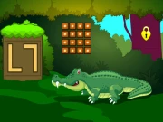 Crocodile Land Escape Online Puzzle Games on NaptechGames.com