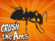 Crush the Ants Online junior Games on NaptechGames.com