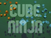 Cube Ninja Online Action Games on NaptechGames.com