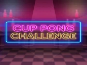 Cup Pong Challenge Online Casual Games on NaptechGames.com