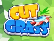 Cut Grass Arcade Online Puzzle Games on NaptechGames.com