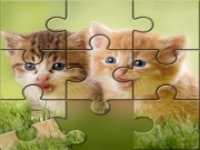 Cute Cats Puzzle game ftree Online Puzzle Games on NaptechGames.com