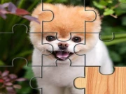 Cute Dogs Jigsaw Puzlle Online Puzzle Games on NaptechGames.com
